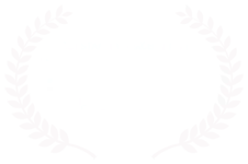 Outstanding Excellence — Documentaries Without Borders International Film Festival